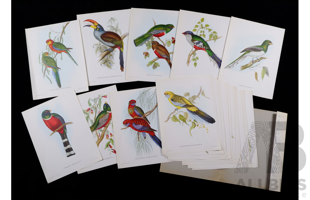 John Gould, (19th C, British, 1804-1881)  Ariel Press Gould’s Tropical Birds Collection - 18 Prints & Original Text by Gould, Offset Hand Coloured Lithographs, 40 x 30 cm