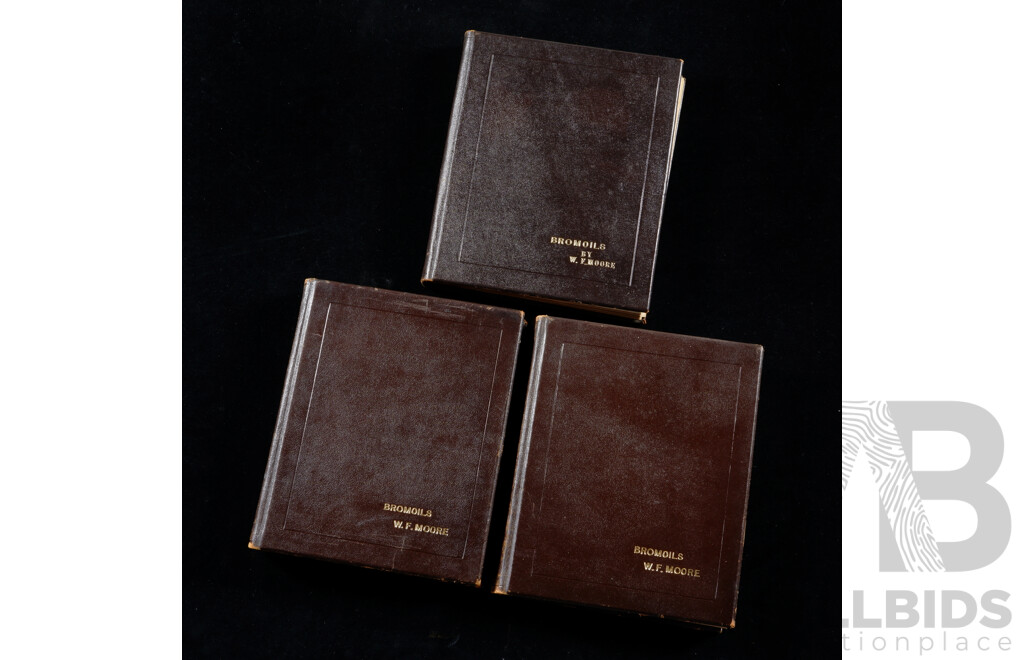 W.F. (Frank) Moore, (Australian, Active 1920-1950s), Collection of Three Vintage Leather Bound Albums of Bromoil Photographs Featuring Landscapes, Portraits & More, 31 x 26 cm (album dimensions) (3)