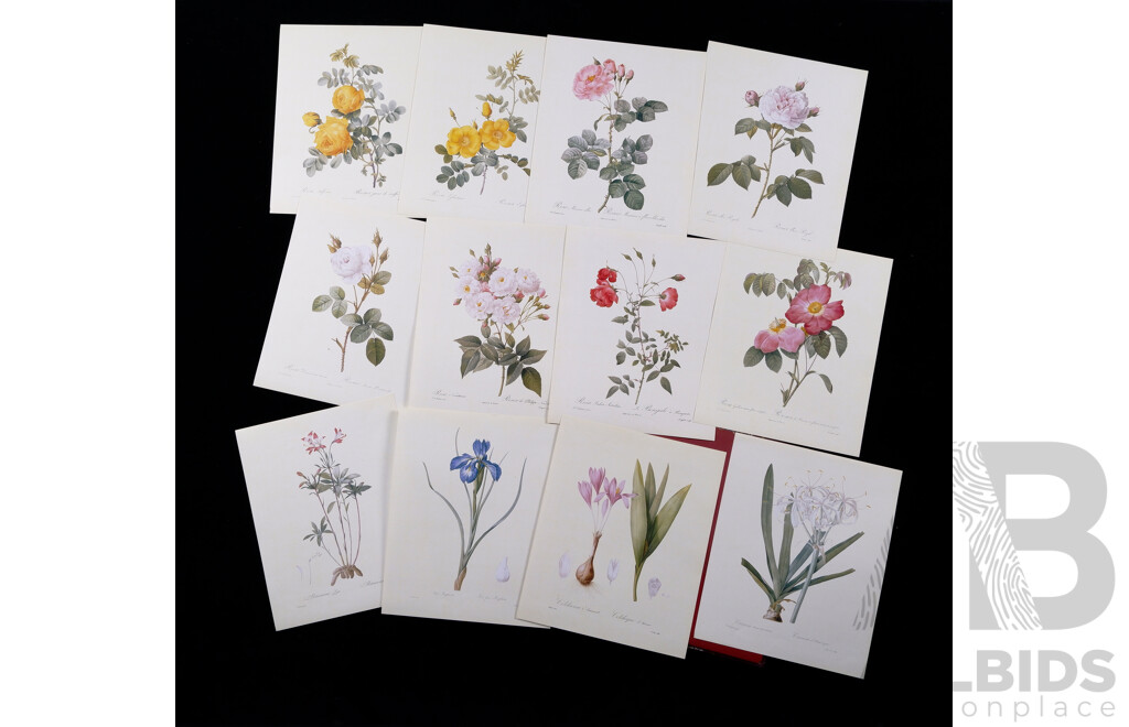 Pierre-Joseph Redouté (Dutch-French, 1759-1840), Collector's Portfolio of Redoute's Flowers, Twelve Quality Reproduction Prints of Antique Originals in Reusable Storage Portfolio, 30 x 24 cm