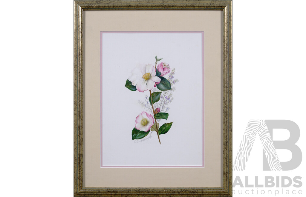 Christine Cansfield-Smith, (20th Century, Australian), Camellias (2003), Watercolour, Signed in Pencil, 44 x 36 cm (frame)