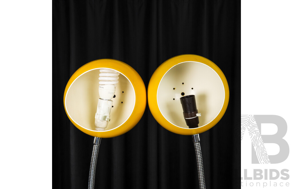 Pair of Retro Snake Neck Floor Lamps With Spherical Enamel Shades