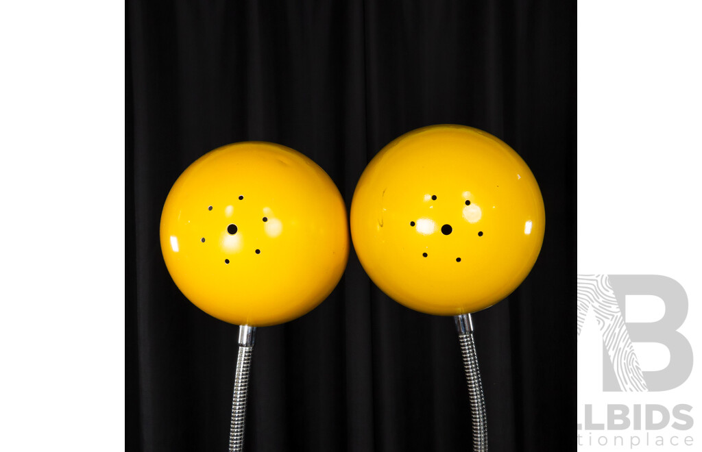 Pair of Retro Snake Neck Floor Lamps With Spherical Enamel Shades
