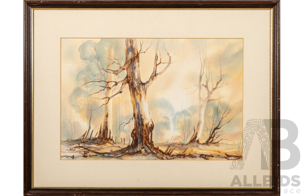 Sue Bailey Scott, (20th Century, Australian), Morning Light, Wonderful Original Vintage Watercolour, 50 x 65 cm (frame)