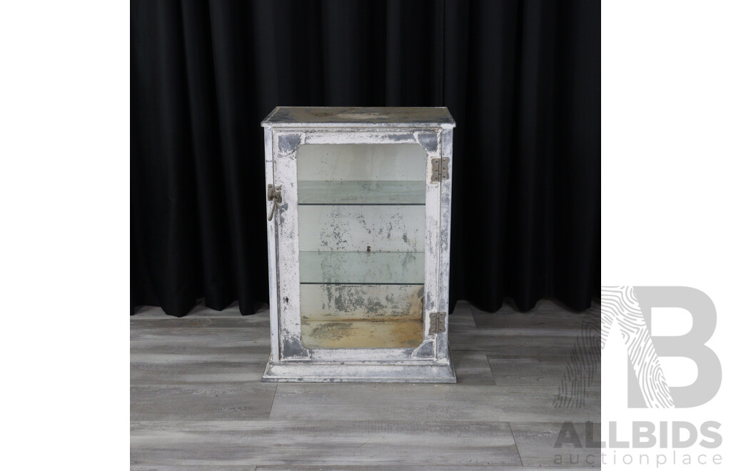 Vintage Zinc Dental Display Case