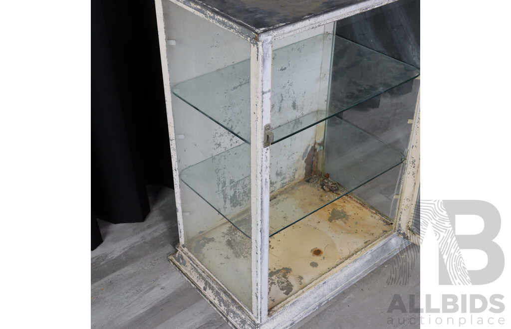 Vintage Zinc Dental Display Case