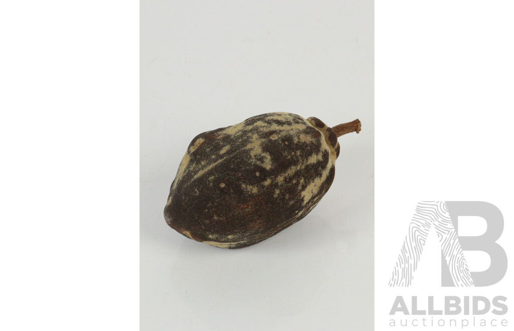 Collection Four Vintage Australian Indigenous Aboriginal Pieces Comprising Tiwi Island Wooden Figure, Wooden Painted Coolamon, Basket and Boab Nut