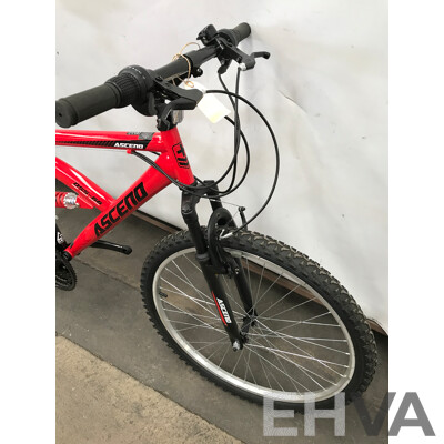 Ascend DSS-66 18 Speed Mountain Bike (No Pedals)