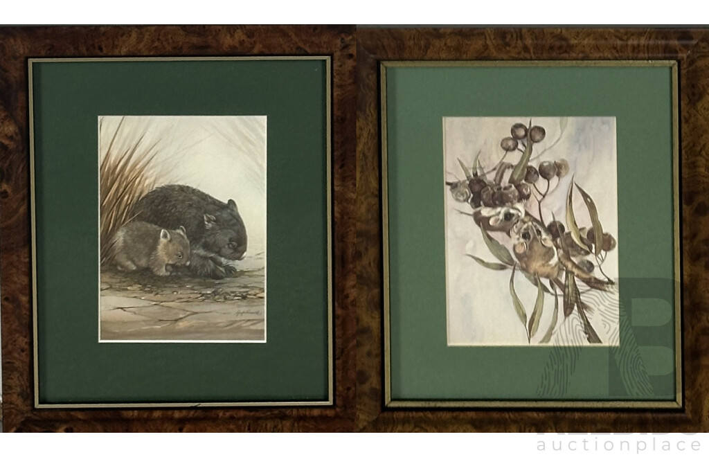 Gayle Russell, (20th Century, Australian), Wombats & Possums, Quality Prints of Original Acrylics, 29.5 x 24.5 cm (frames) (2)