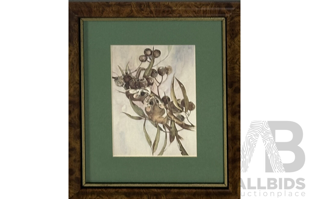 Gayle Russell, (20th Century, Australian), Wombats & Possums, Quality Prints of Original Acrylics, 29.5 x 24.5 cm (frames) (2)
