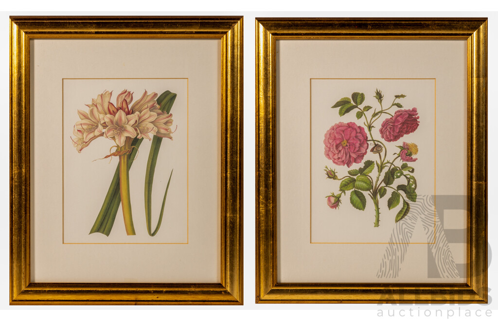 Crinium Lily & Rose with Butterfly, Lovely Pair of Vintage Prints of Original, 41 x 33 cm (frames) (2)