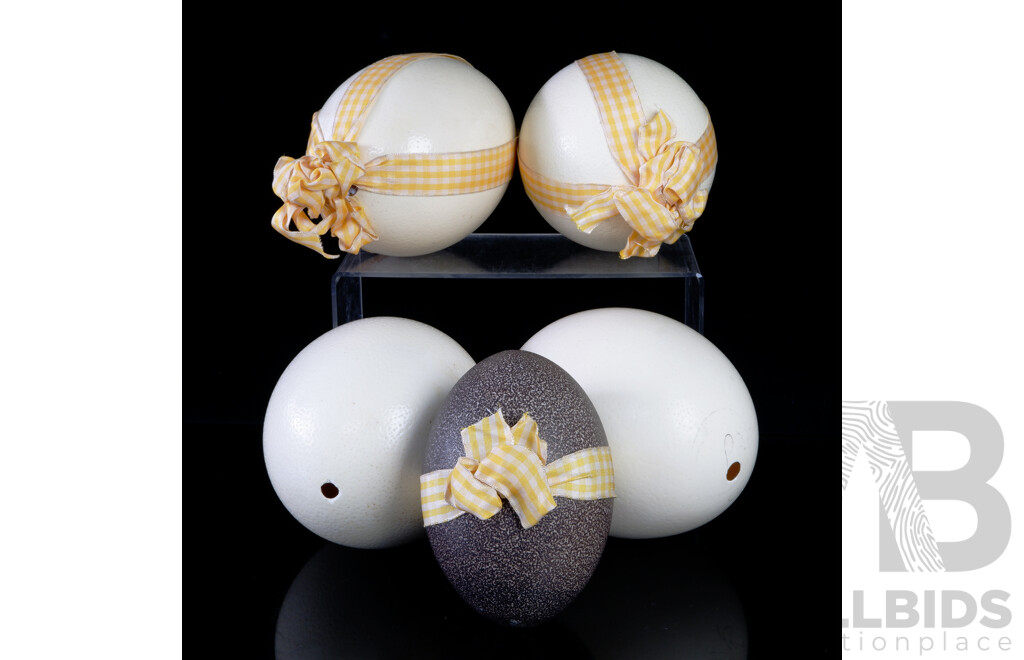 Collection Four Hollow Blown Ostrich Eggs and One Hollow Blown Emu Egg