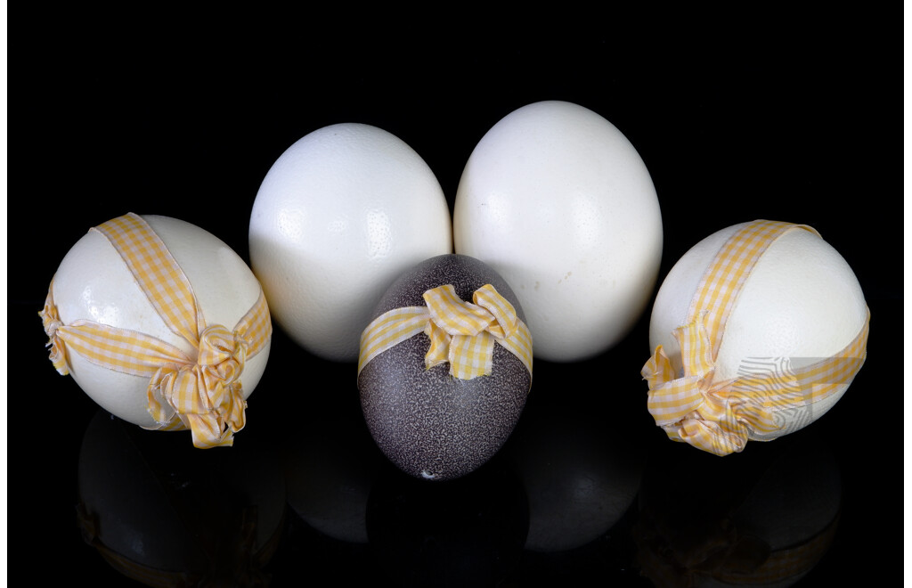 Collection Four Hollow Blown Ostrich Eggs and One Hollow Blown Emu Egg