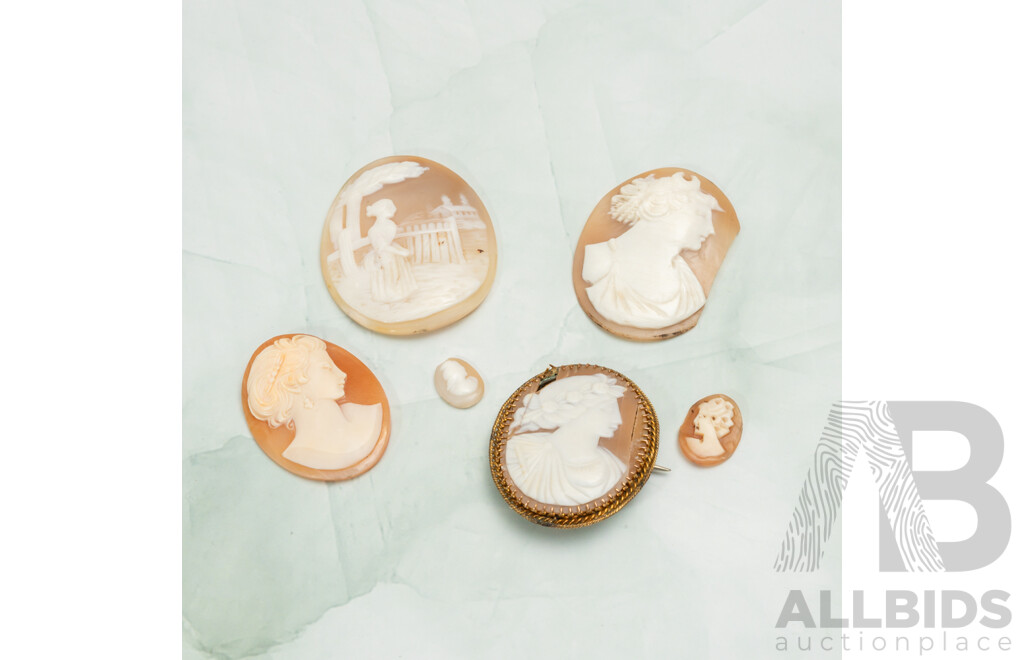 Collection of (5) Vintage Unset Shell Cameos & Vintage Gold Tone Cameo Brooch