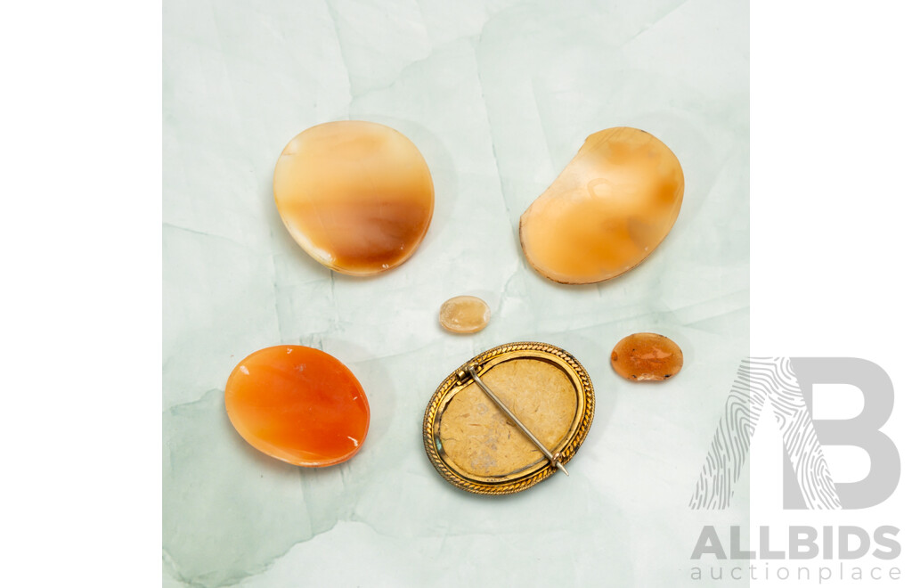 Collection of (5) Vintage Unset Shell Cameos & Vintage Gold Tone Cameo Brooch