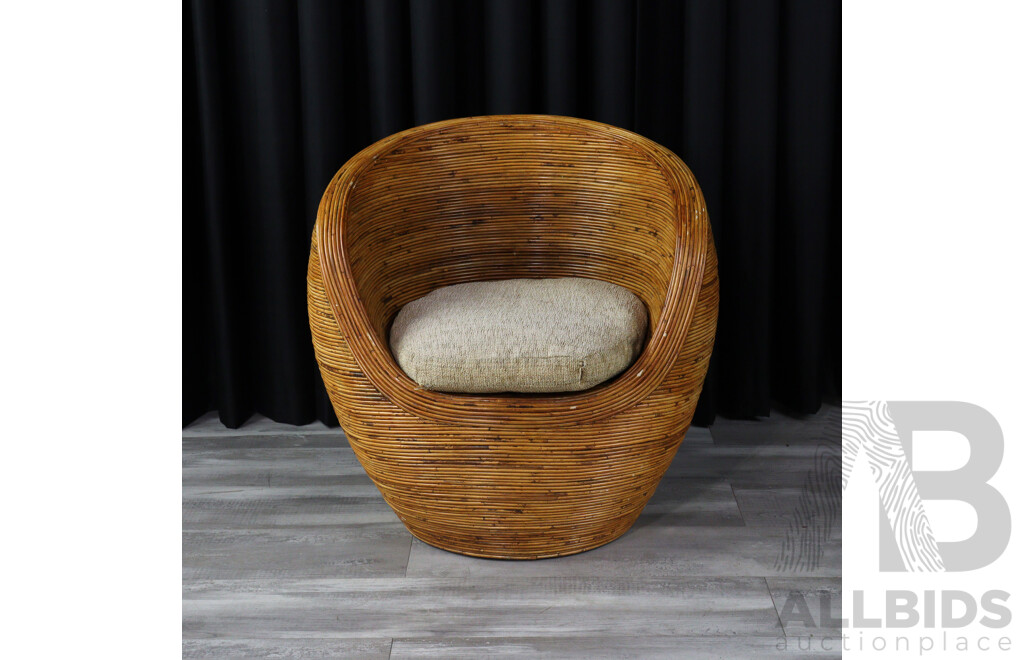 Vintage Cane Tub Chair