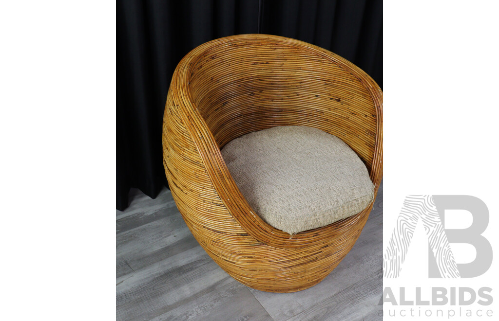 Vintage Cane Tub Chair