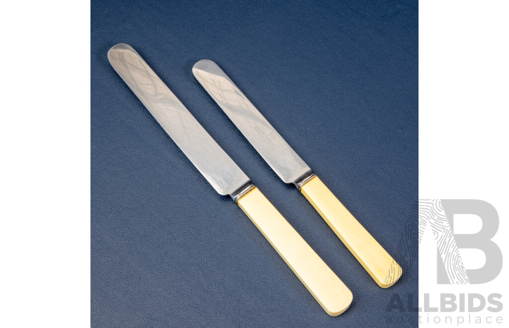 Twelve Vintage Chris Johnson & Co Sheffield Bone Handle Knives