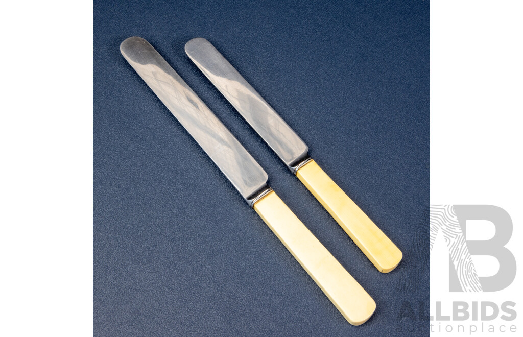 Twelve Vintage Chris Johnson & Co Sheffield Bone Handle Knives