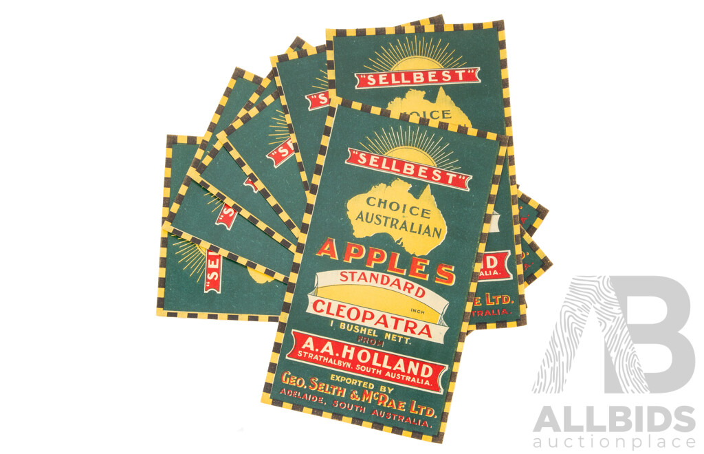 Rare ''Sellbest'' Choice Australian Apple Box Labels, 1 Bushel Nett From A.A Holland, Exported by Geo. Selth & McRae LTD, Adelaide South Australia