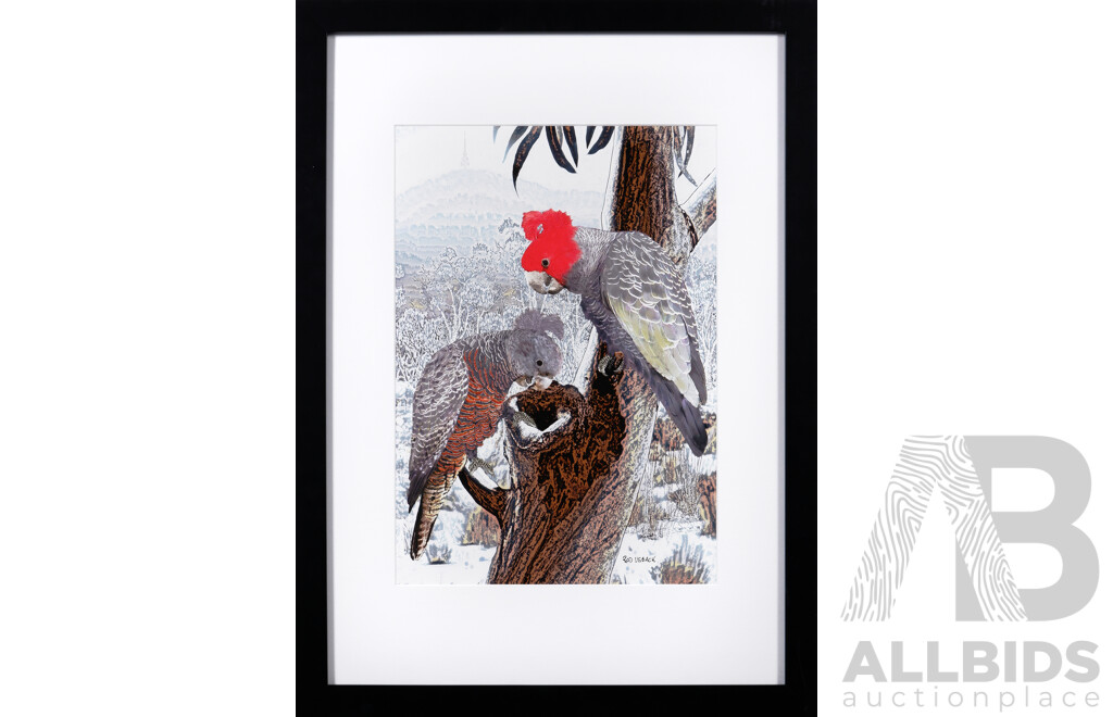 Rod Usback, (20th Century, Australian, 1944-), Gang Gangs Flanked by Telstra Tower, ACT, Original Digital Art Archival Pigment Print, 65 x 47 cm (frame)