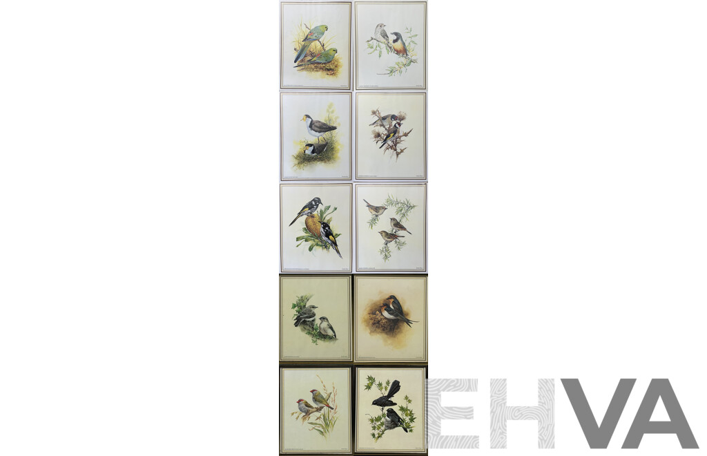 Deidre Lynette Hunt, (20th Century, Australian, 1939-), WIllie Wagtail, Welcome Swallow & More, Collection of Framed and Unframed Colour Prints of Original Watercolours, 32 x 26 cm (frames) (4) and 30 x 25 cm (unframed) (6)