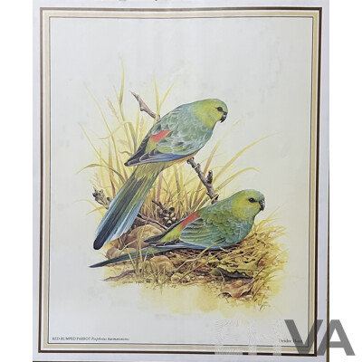 Deidre Lynette Hunt, (20th Century, Australian, 1939-), WIllie Wagtail, Welcome Swallow & More, Collection of Framed and Unframed Colour Prints of Original Watercolours, 32 x 26 cm (frames) (4) and 30 x 25 cm (unframed) (6)