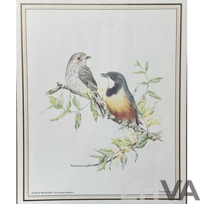 Deidre Lynette Hunt, (20th Century, Australian, 1939-), WIllie Wagtail, Welcome Swallow & More, Collection of Framed and Unframed Colour Prints of Original Watercolours, 32 x 26 cm (frames) (4) and 30 x 25 cm (unframed) (6)