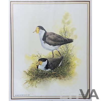 Deidre Lynette Hunt, (20th Century, Australian, 1939-), WIllie Wagtail, Welcome Swallow & More, Collection of Framed and Unframed Colour Prints of Original Watercolours, 32 x 26 cm (frames) (4) and 30 x 25 cm (unframed) (6)
