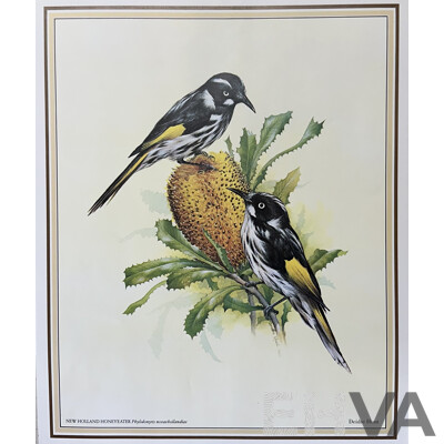 Deidre Lynette Hunt, (20th Century, Australian, 1939-), WIllie Wagtail, Welcome Swallow & More, Collection of Framed and Unframed Colour Prints of Original Watercolours, 32 x 26 cm (frames) (4) and 30 x 25 cm (unframed) (6)