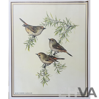 Deidre Lynette Hunt, (20th Century, Australian, 1939-), WIllie Wagtail, Welcome Swallow & More, Collection of Framed and Unframed Colour Prints of Original Watercolours, 32 x 26 cm (frames) (4) and 30 x 25 cm (unframed) (6)