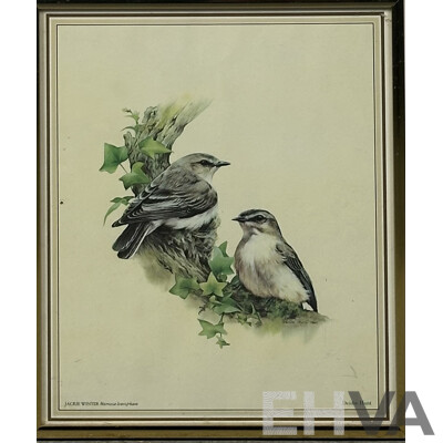 Deidre Lynette Hunt, (20th Century, Australian, 1939-), WIllie Wagtail, Welcome Swallow & More, Collection of Framed and Unframed Colour Prints of Original Watercolours, 32 x 26 cm (frames) (4) and 30 x 25 cm (unframed) (6)