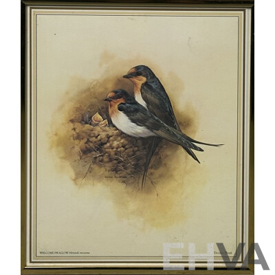Deidre Lynette Hunt, (20th Century, Australian, 1939-), WIllie Wagtail, Welcome Swallow & More, Collection of Framed and Unframed Colour Prints of Original Watercolours, 32 x 26 cm (frames) (4) and 30 x 25 cm (unframed) (6)