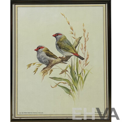Deidre Lynette Hunt, (20th Century, Australian, 1939-), WIllie Wagtail, Welcome Swallow & More, Collection of Framed and Unframed Colour Prints of Original Watercolours, 32 x 26 cm (frames) (4) and 30 x 25 cm (unframed) (6)