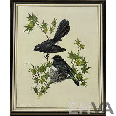 Deidre Lynette Hunt, (20th Century, Australian, 1939-), WIllie Wagtail, Welcome Swallow & More, Collection of Framed and Unframed Colour Prints of Original Watercolours, 32 x 26 cm (frames) (4) and 30 x 25 cm (unframed) (6)