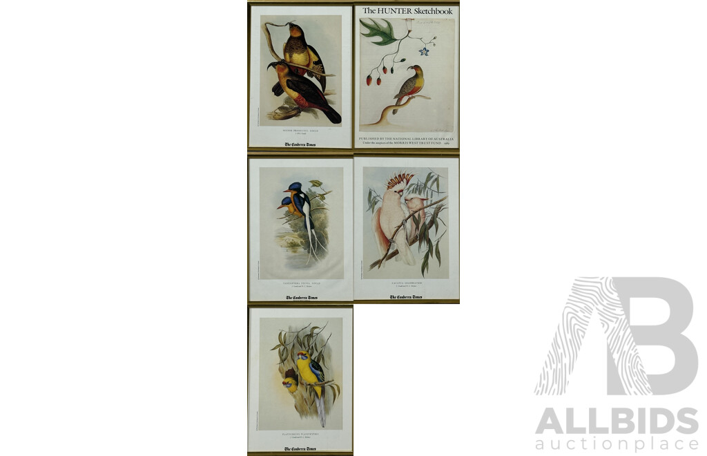 John Gould (British, 1804-1881) & H.C Richter (British, 1821-1902), Collection of Five Framed Bird Colour Prints of the Original Handcoloured Lithographs, 30 x 21 (cm)(5)
