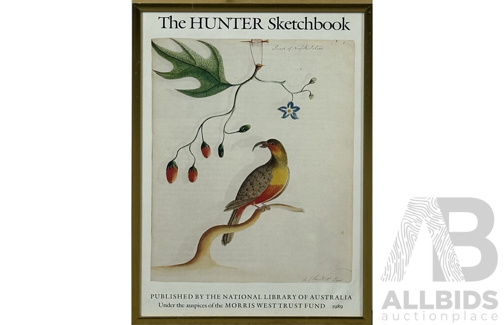 John Gould (British, 1804-1881) & H.C Richter (British, 1821-1902), Collection of Five Framed Bird Colour Prints of the Original Handcoloured Lithographs, 30 x 21 (cm)(5)
