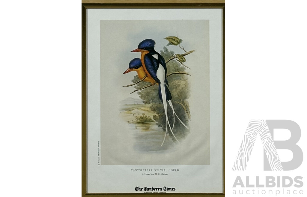 John Gould (British, 1804-1881) & H.C Richter (British, 1821-1902), Collection of Five Framed Bird Colour Prints of the Original Handcoloured Lithographs, 30 x 21 (cm)(5)