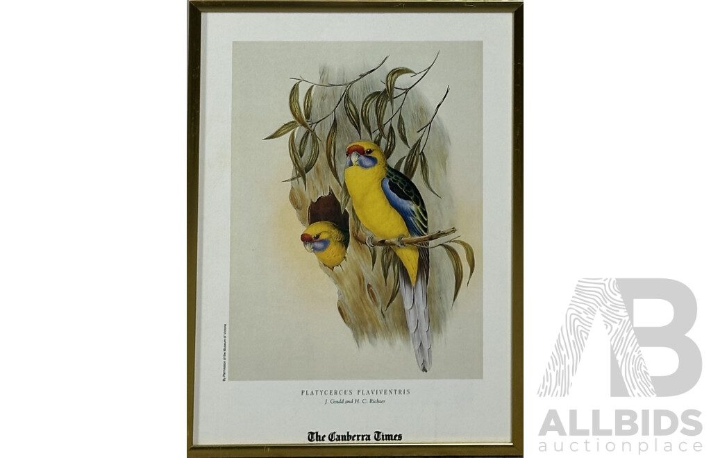 John Gould (British, 1804-1881) & H.C Richter (British, 1821-1902), Collection of Five Framed Bird Colour Prints of the Original Handcoloured Lithographs, 30 x 21 (cm)(5)