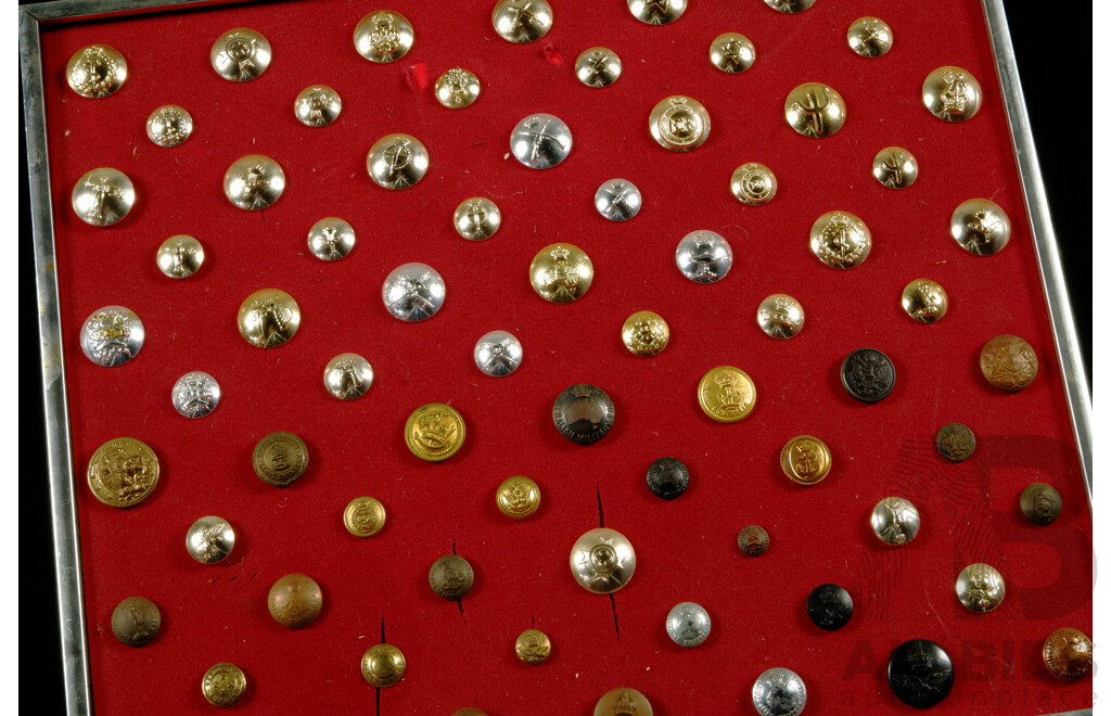 Fantastic Framed Presentation of Australian Military Brass & Copper Buttons