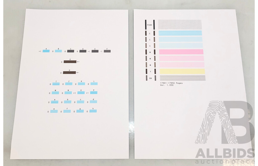 Canon MG5460 Multifunction Inkjet Printer and TP-Link 300 Mbps Wireless N 4G LTE Router