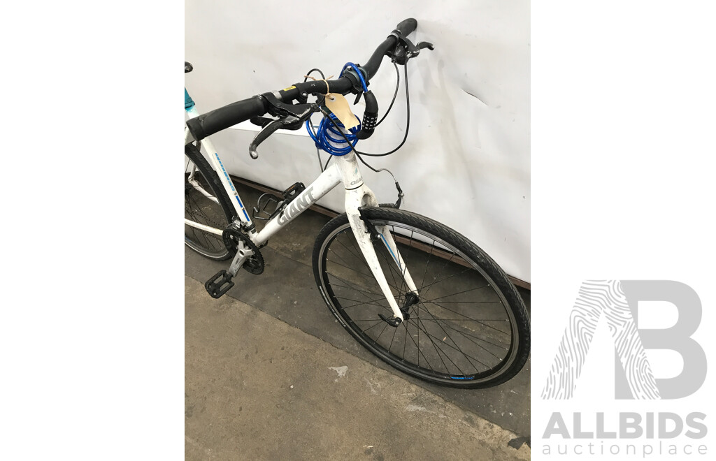 Giant Brilliance 24 Speed Hybrid Bike