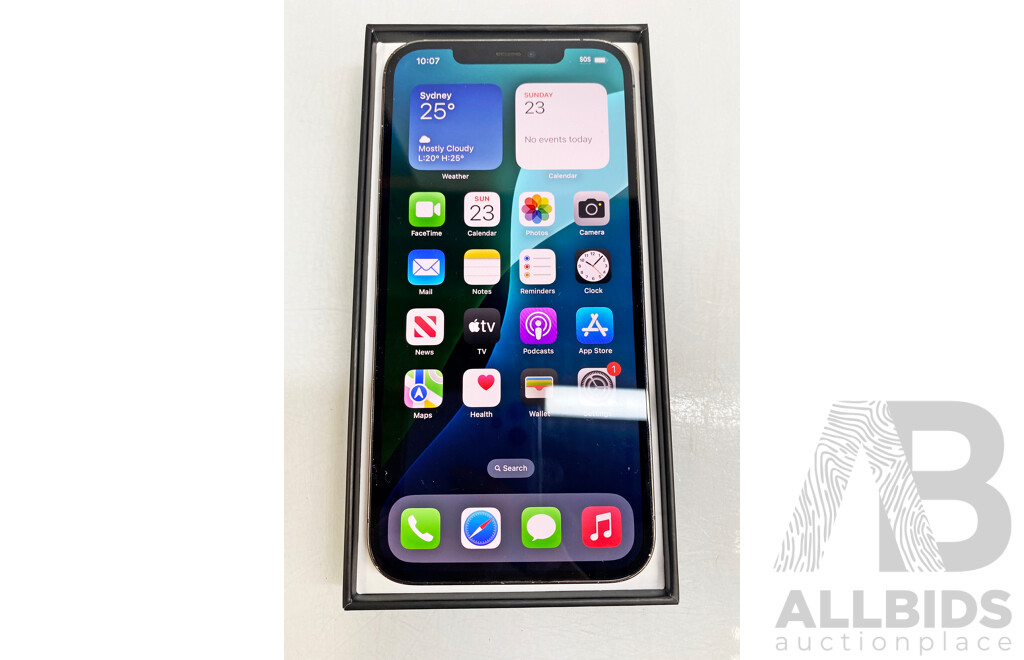 Apple (A2411) 6.7-Inch 256GB IPhone 12 Pro MAX