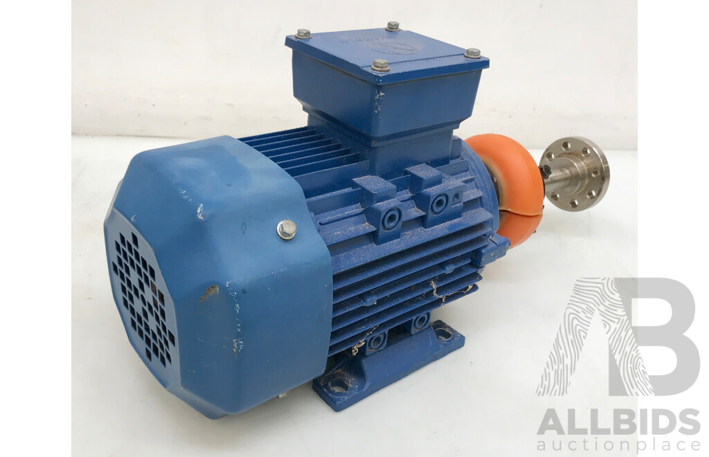 Guanglu Three Pase Induction Motor