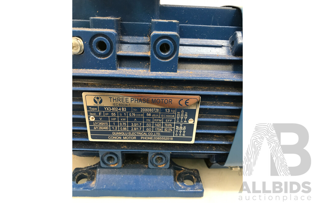 Guanglu Three Pase Induction Motor