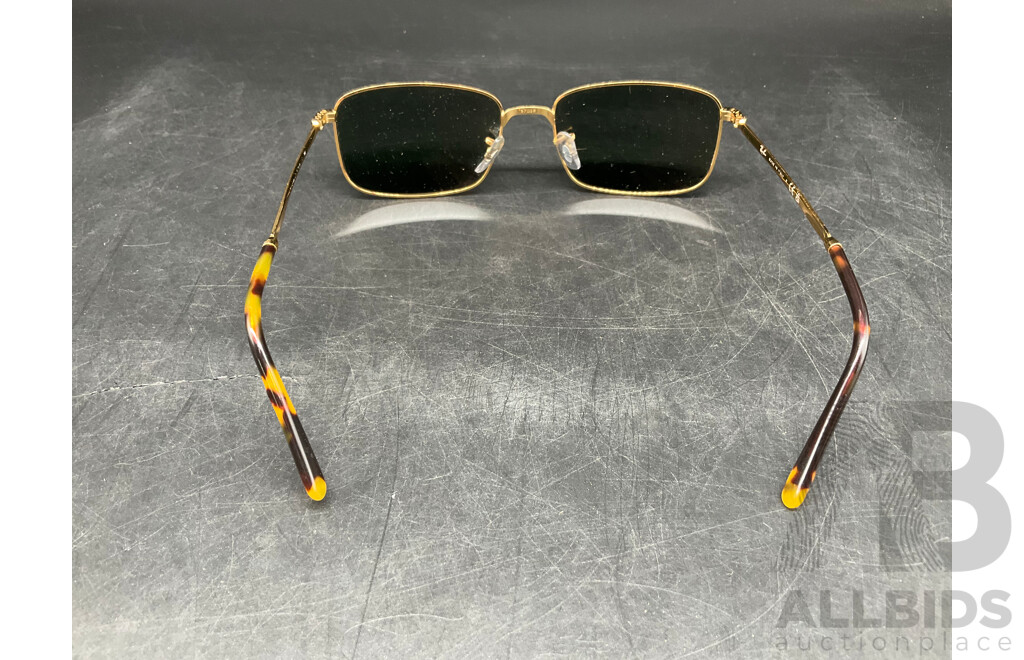 RAY BAN RB3717 Sunglasses - ORP $248