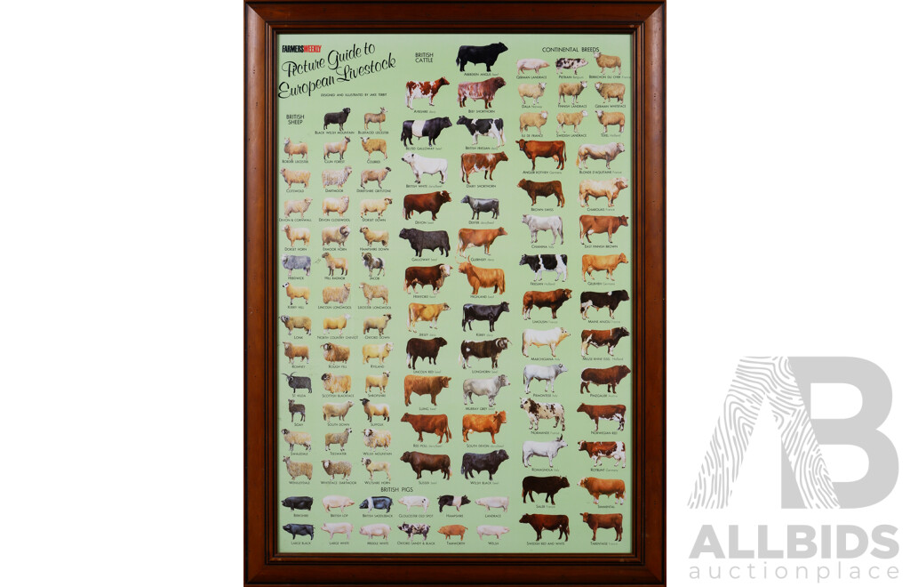 European Livestock, Farmers Weekly Picture Guide, Colour Poster, 94 X 68 Cm (frame)