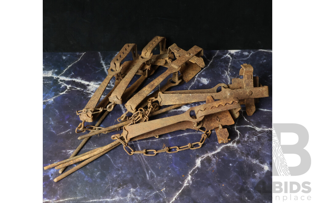 Collection of Five Vintage Metal Rabbit Traps