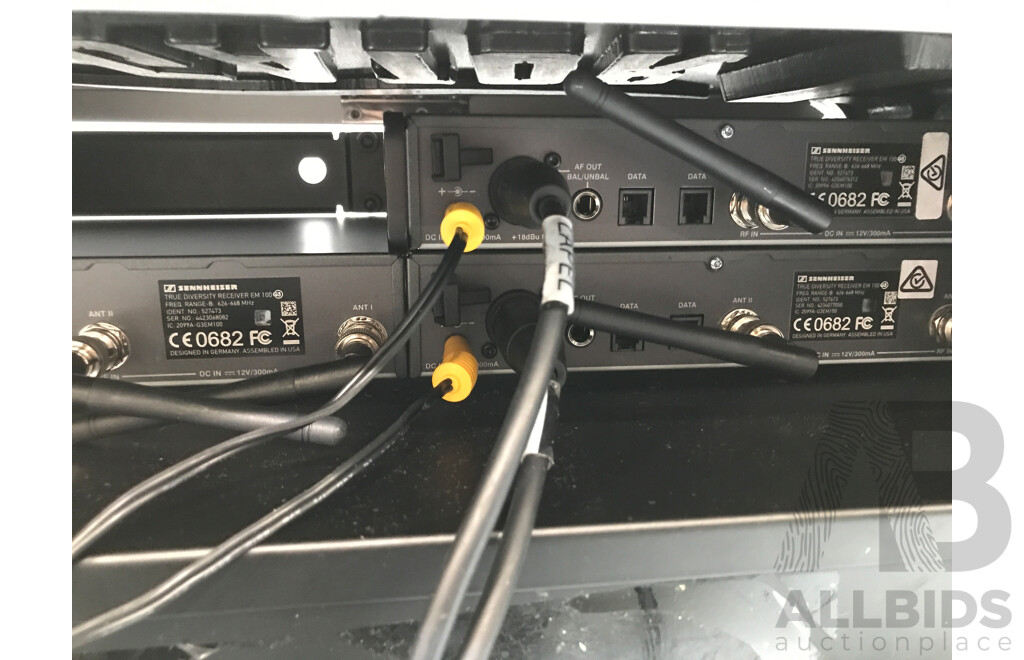 Sennheiser (EM 100 G3) True Diversity Receivers in Gator Road Case
