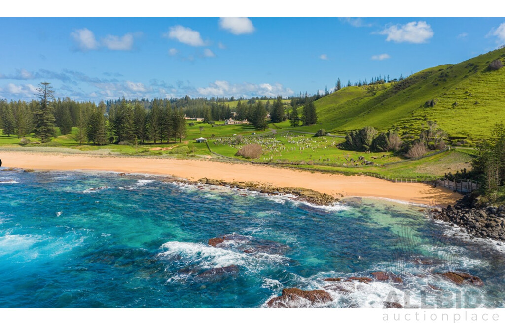 LIVE AUCTION #6 Experience Norfolk Island