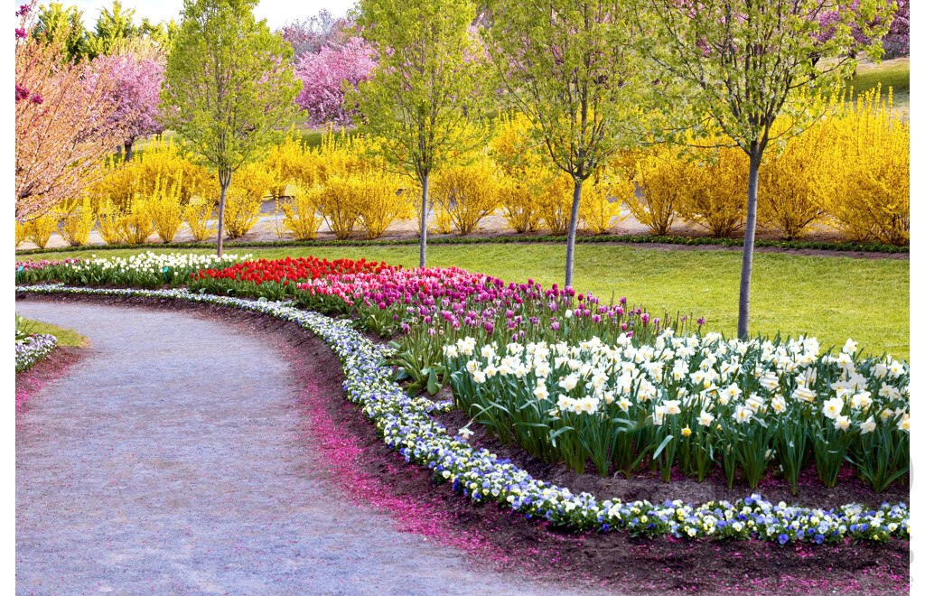Experience Tulip Top Gardens